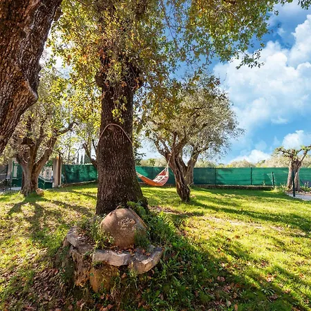 Spacious With Garden Near Grasse * Mouans-Sartoux